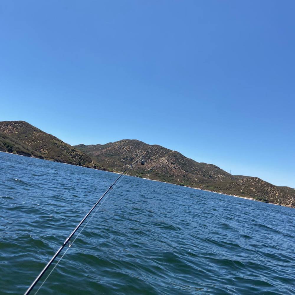 Meet your Posher, Davide